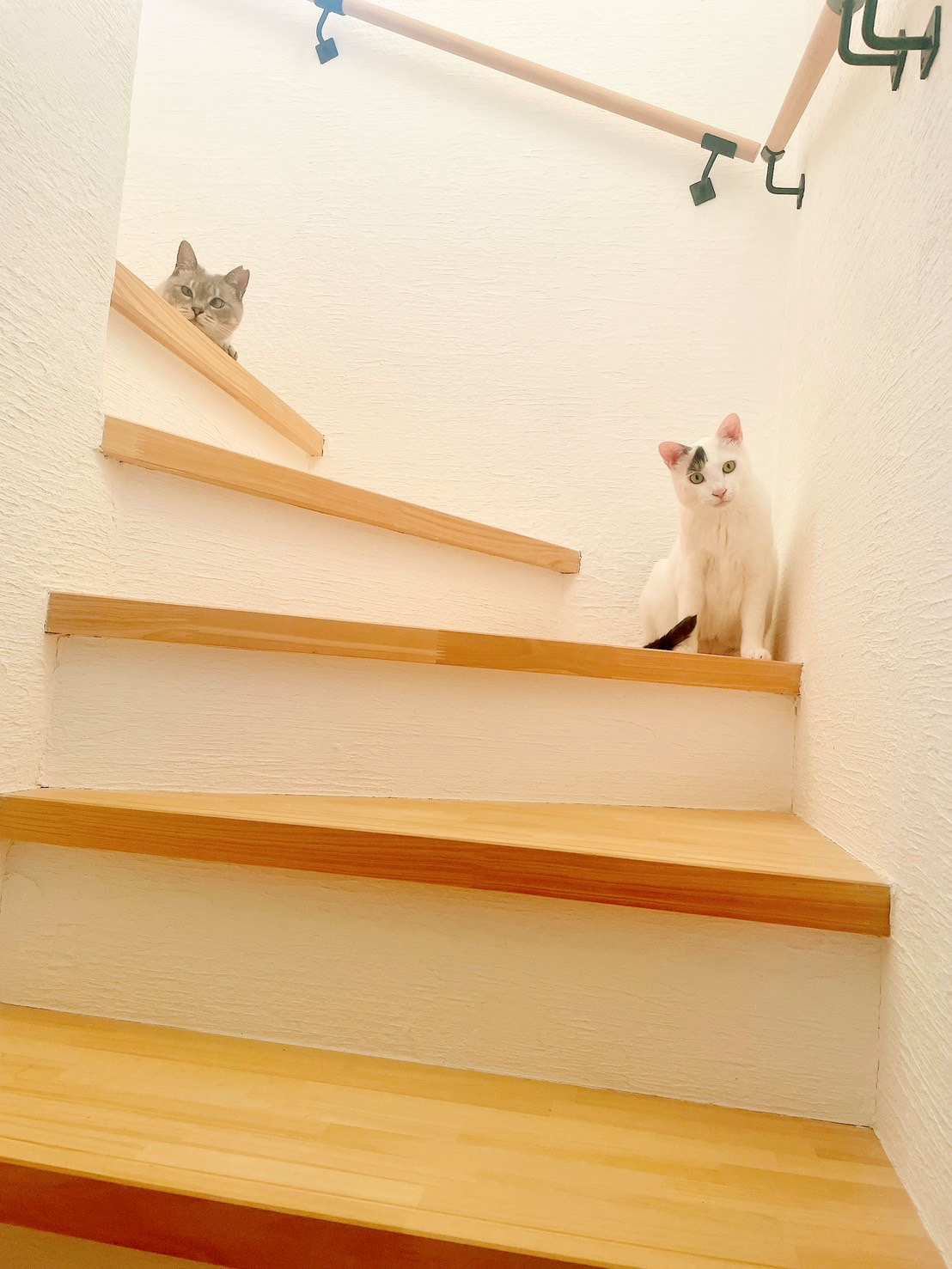 INTERVIEW／むてんかびと紹介岩手県奥州市無添加住宅ナチュラルセンス